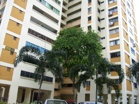 Blk 103 Jalan Rajah (Kallang/Whampoa), HDB 5 Rooms #408612